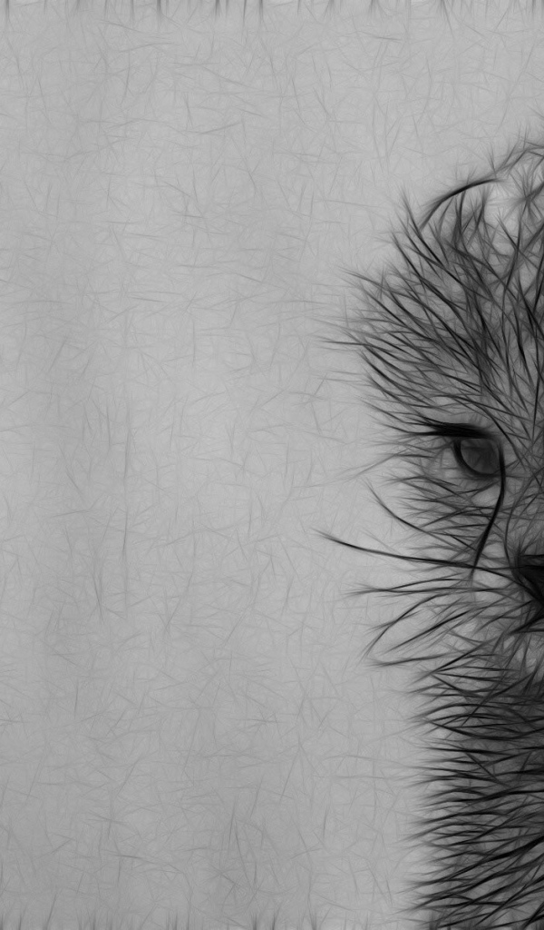 Серый рисунок котенка