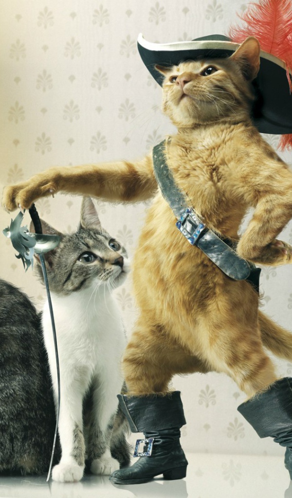 Коты с предводителем