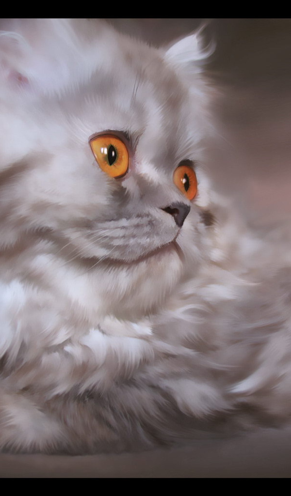 Серебристый  котенок