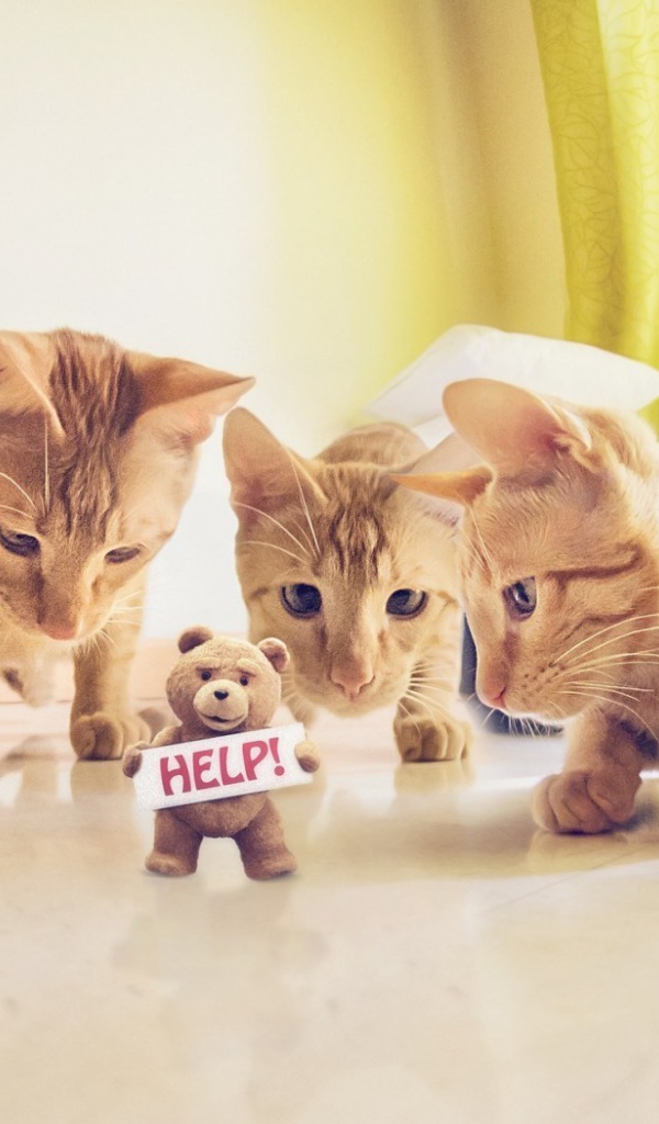 Игрушка просит спасения от котов