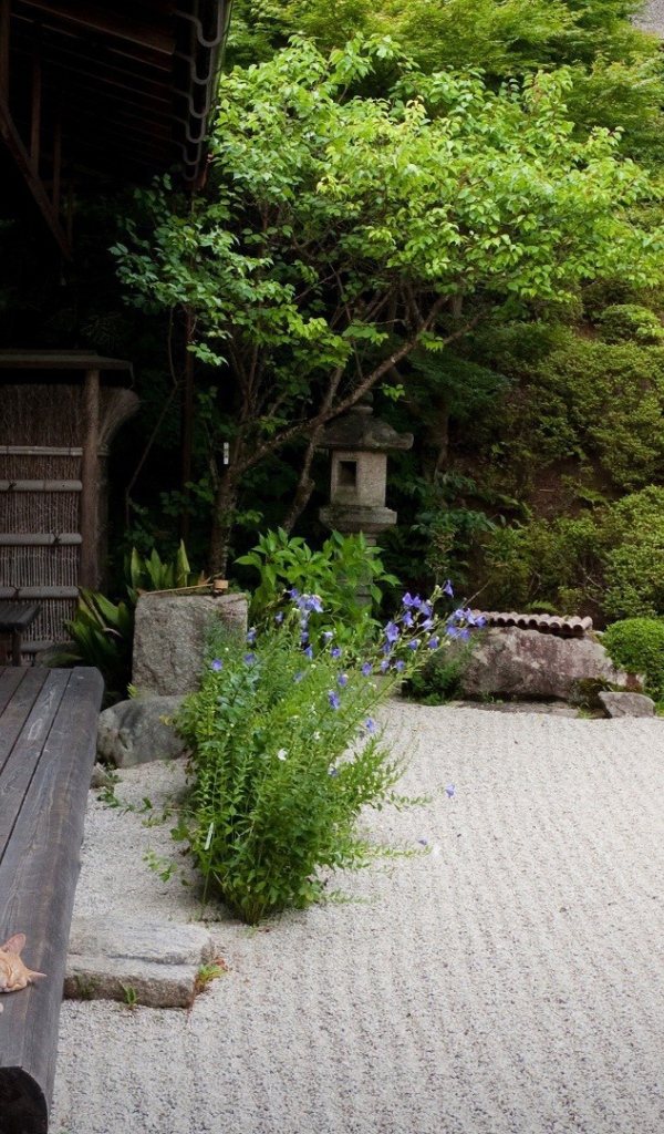 Кот спит на террасе