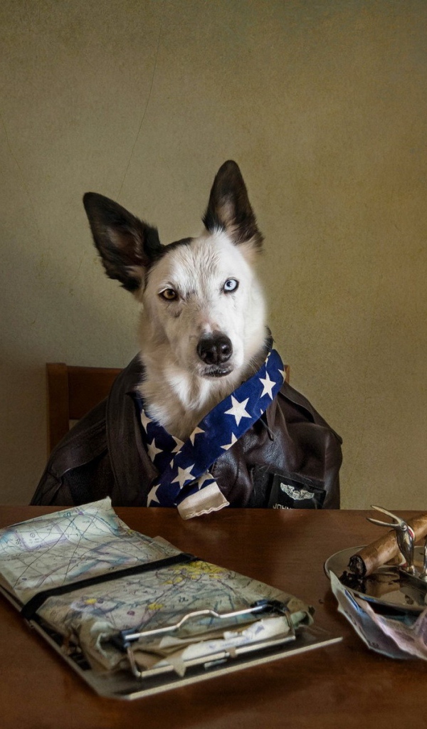 Собака за столом с пивом