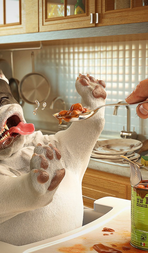 Собака отказывается от консервы