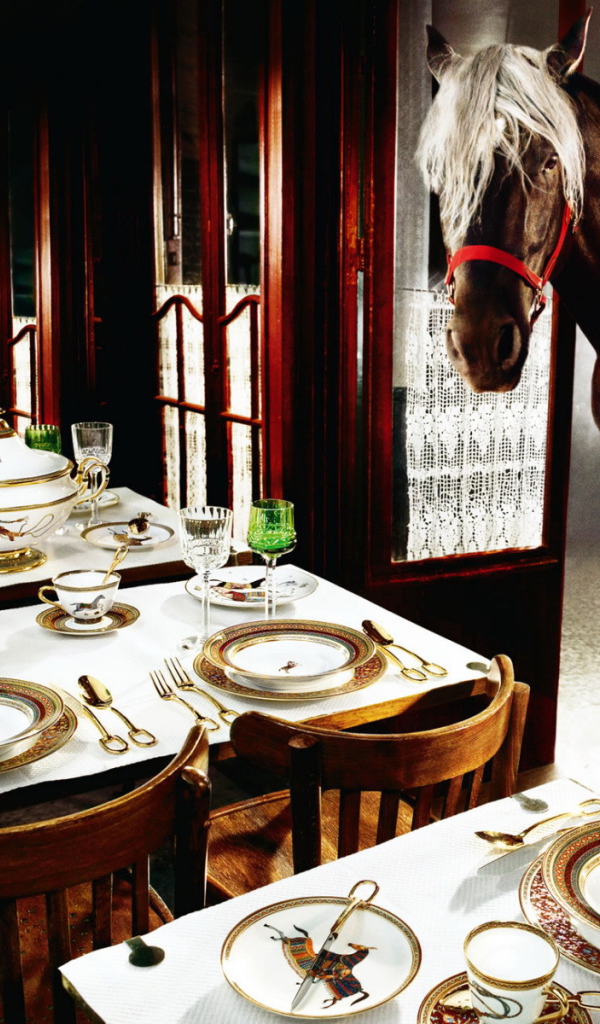 Лошадь в кафе