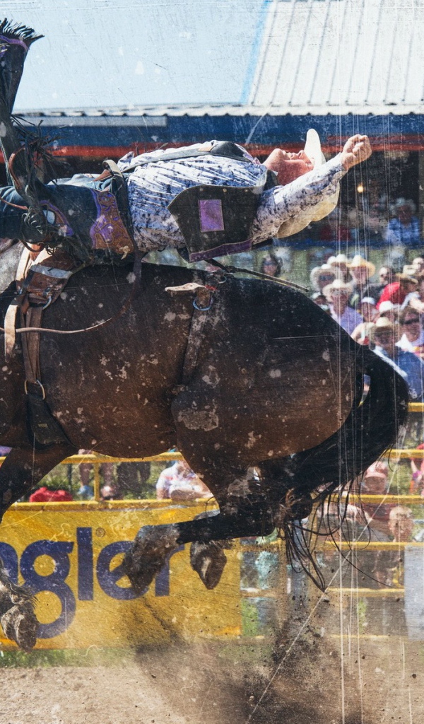 Всадник на лошади во время родео