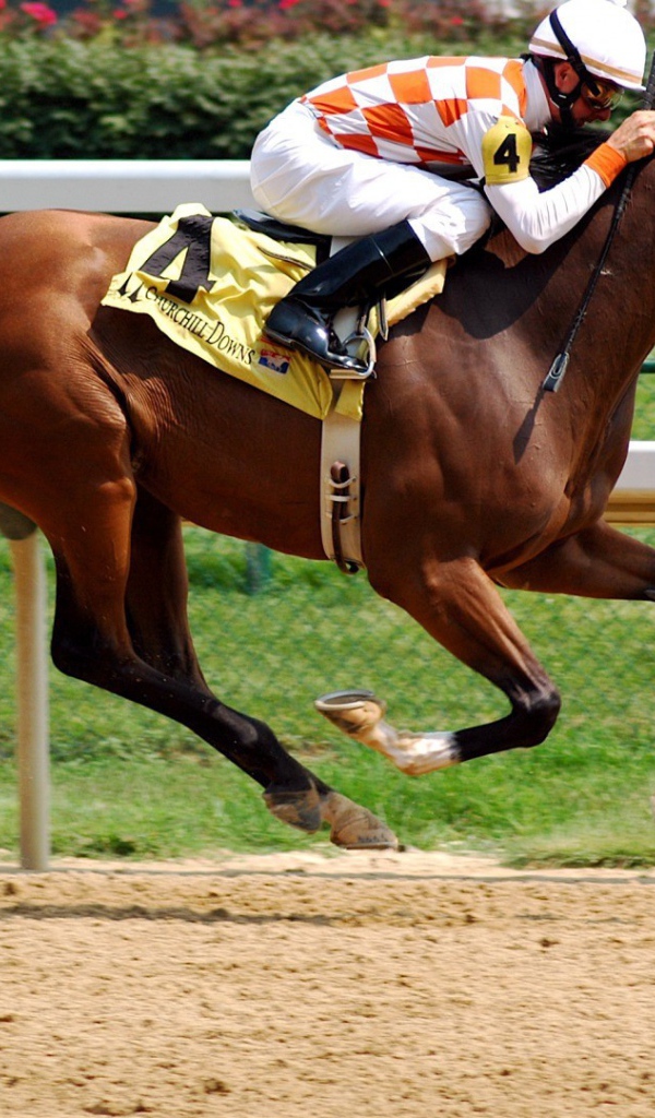 Всадник на ипподроме