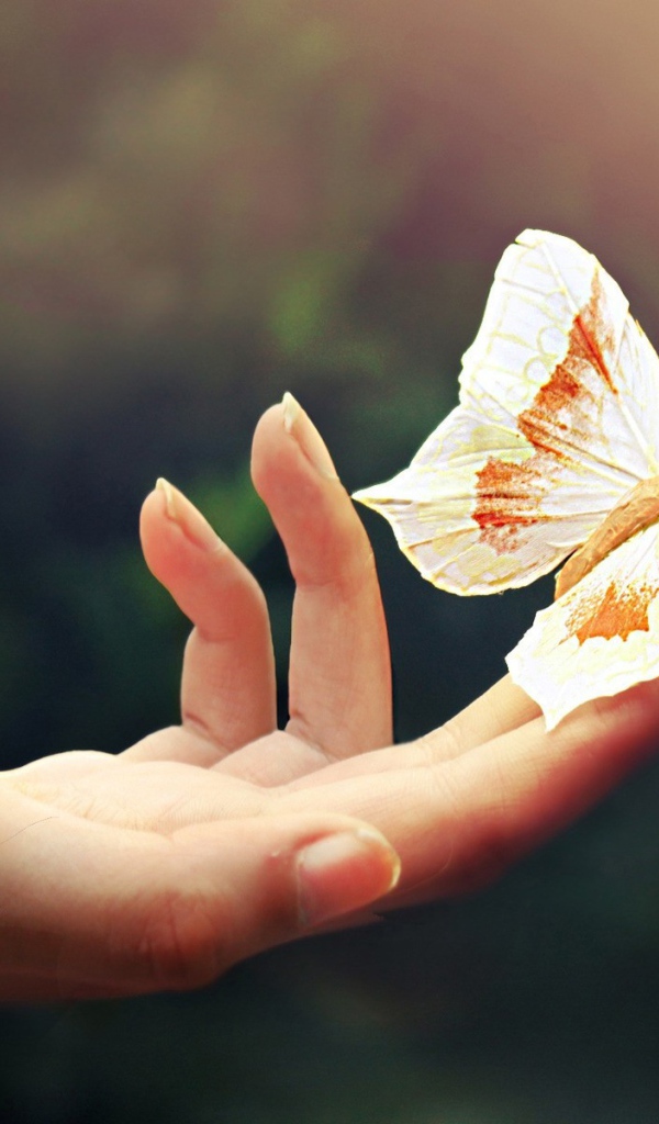 Большая бабочка на пальцах руки