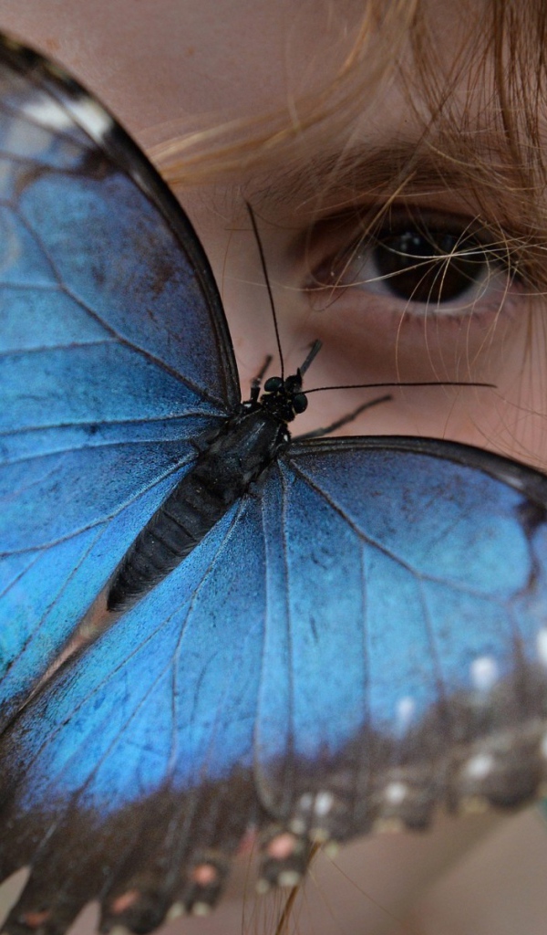 Синяя бабочка на лице девочки