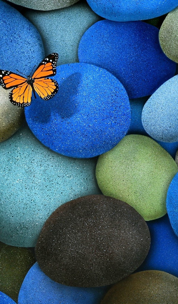 Бабочка на гладких камнях