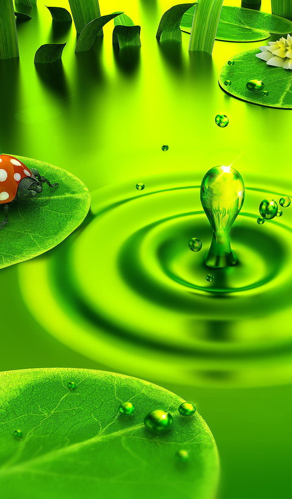 Божья коровка на водяном листке