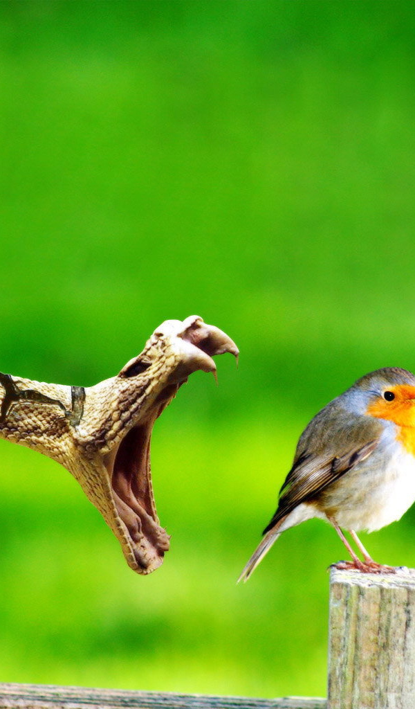 Змея ловит птицу