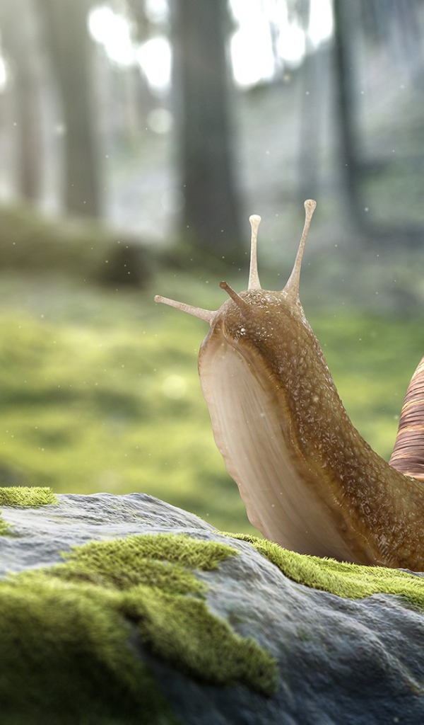 Улитка и пара мухоморов на покрытом мхом камне