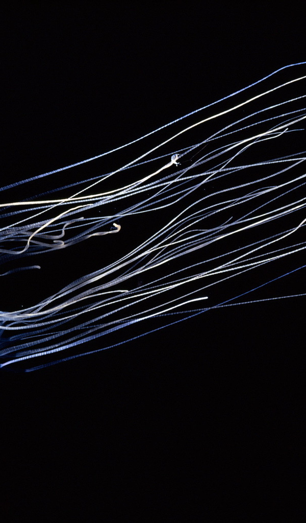 Светящаяся медуза