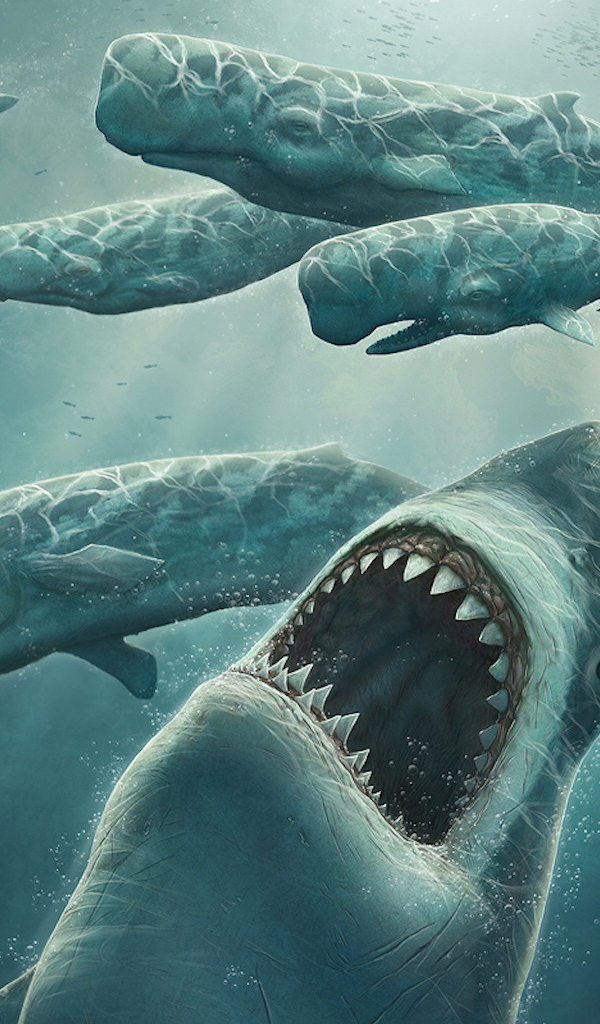 Охота зубастой акулы