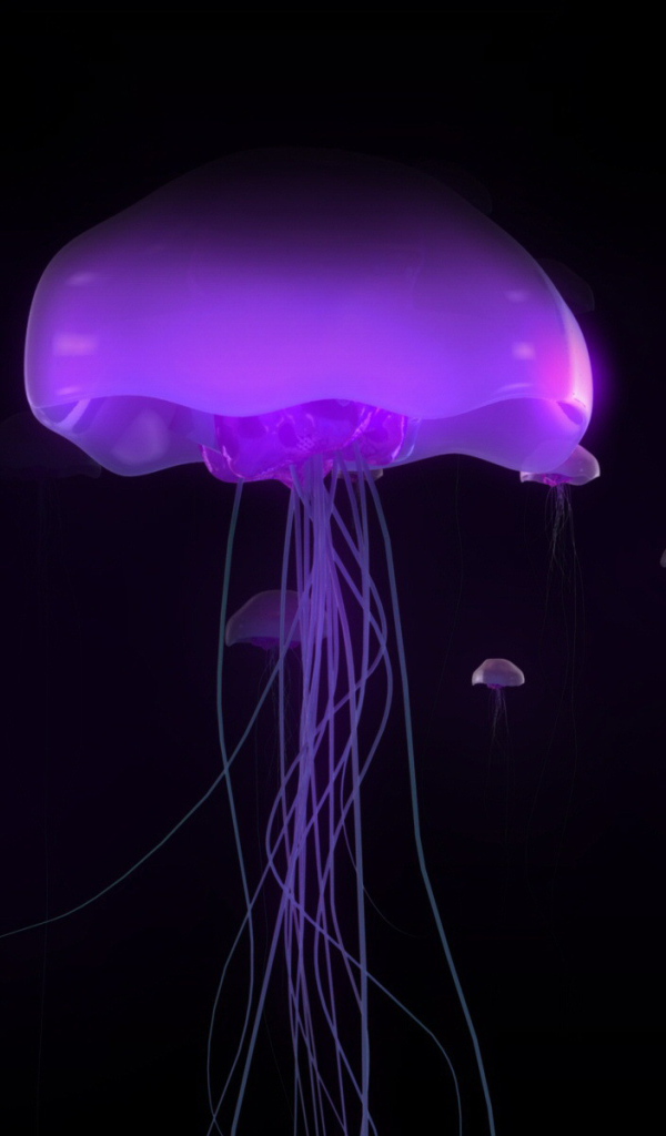Розовые медузы