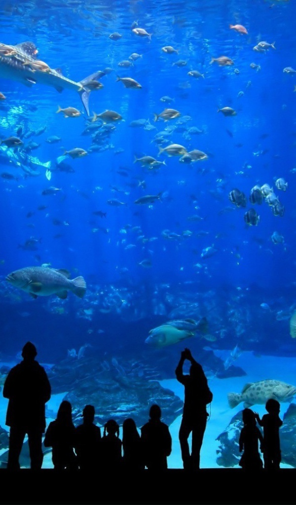 Посетители в океанариуме