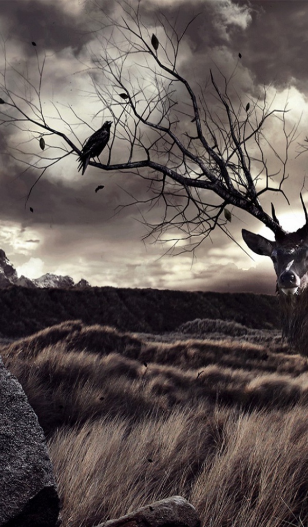 Птицы на ветвистых рогах оленя