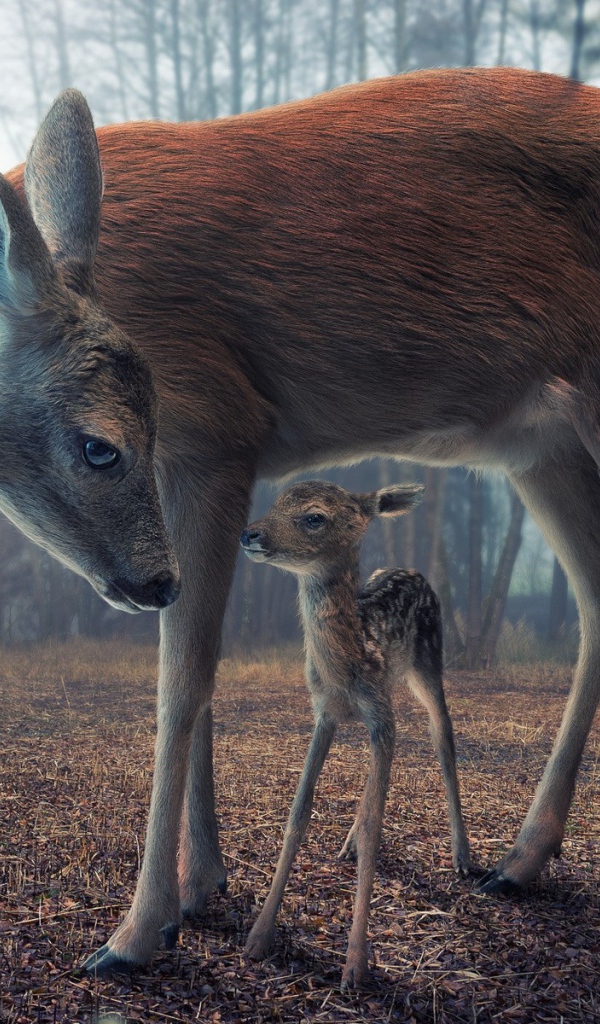 Мама с олененком