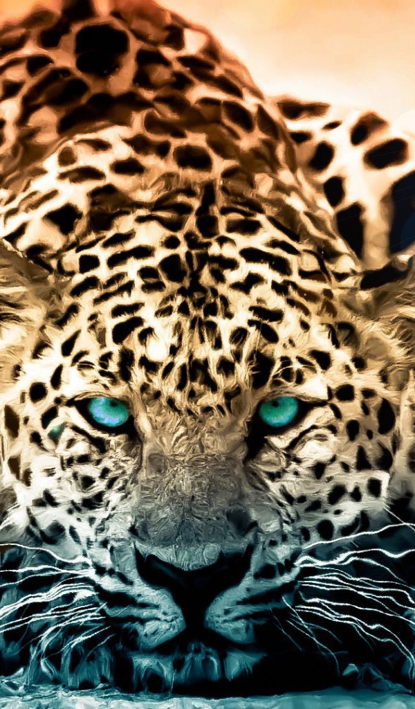 Голубоглазый красивый леопард