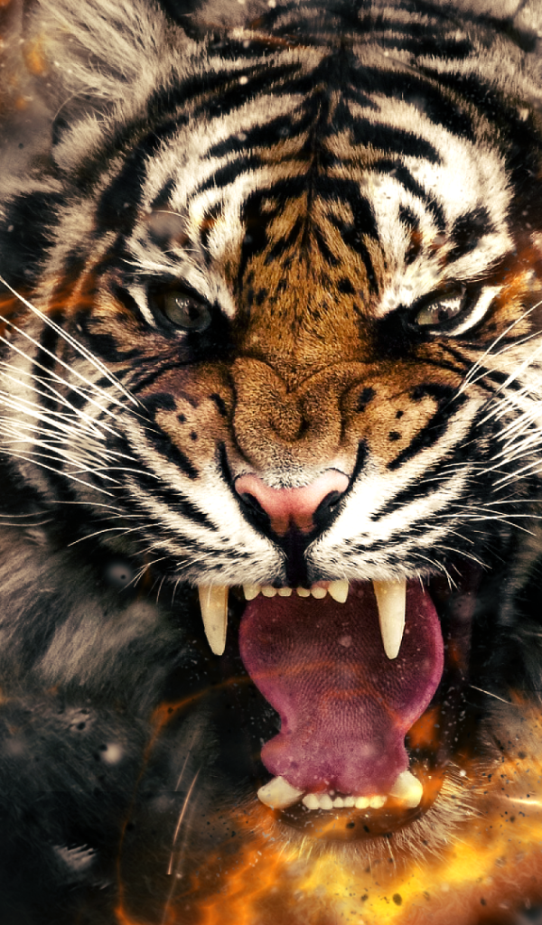 Огненный злой тигр