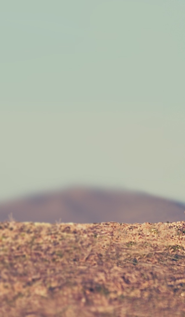 Малыш гепард бежит по саванне