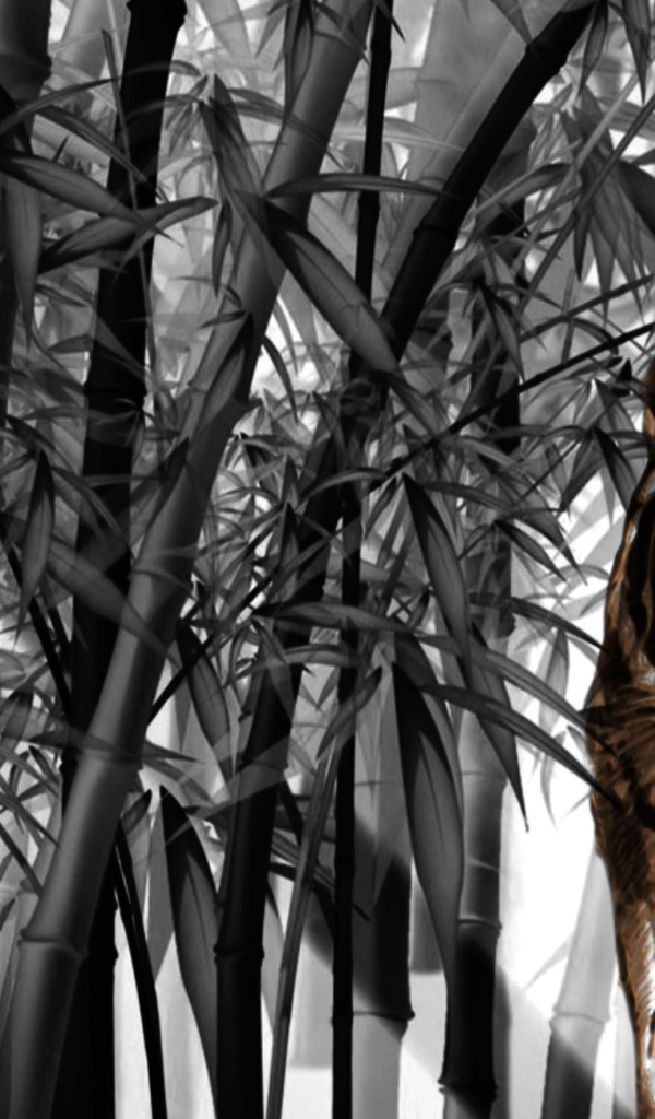 Тигр среди бамбука