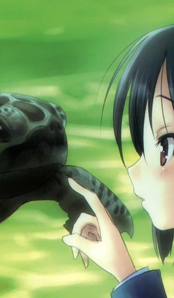 Девушка аниме и черепаха