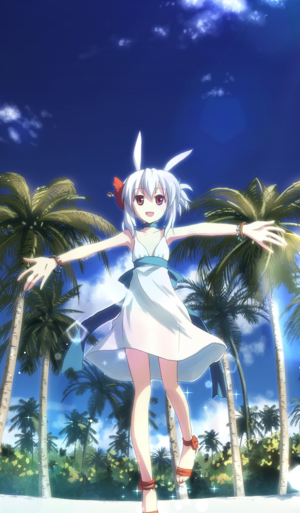 Девушка в аниме DJ Max