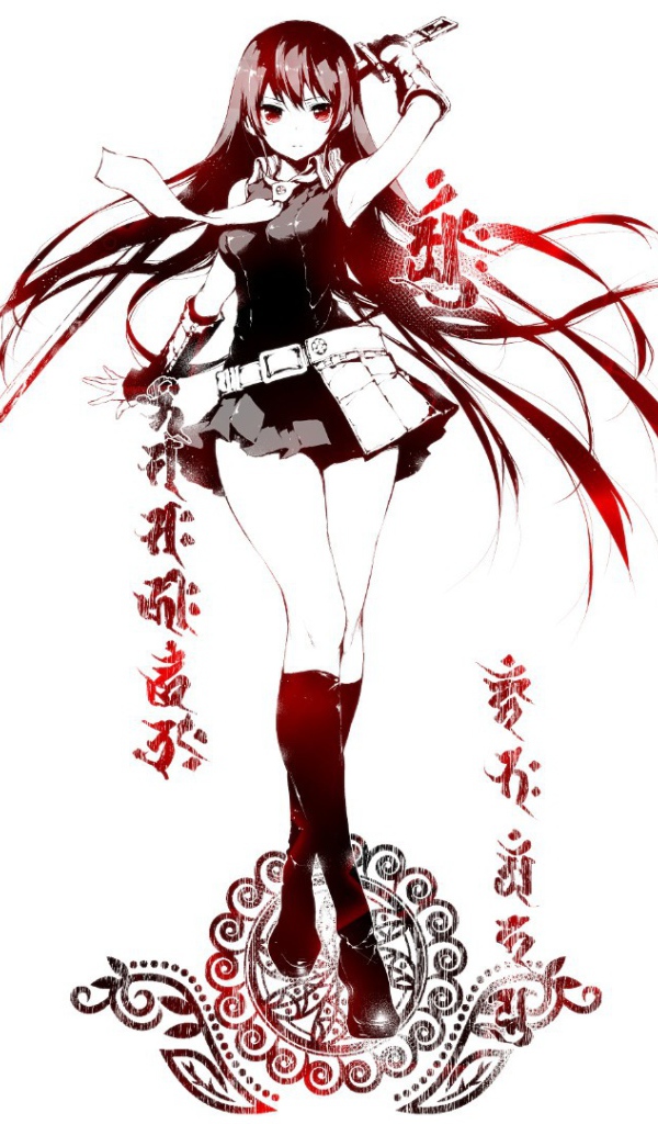 Девушка аниме Akame ga Kill