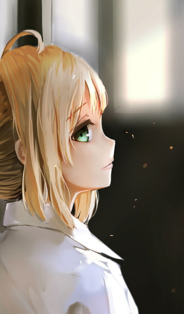 Девушка аниме смотрит вверх, Ночь прибытия