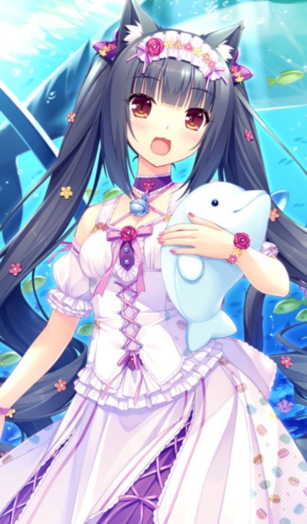 Девушки аниме в океанариуме, Neko Para