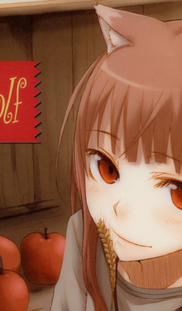 Аниме сериал Волчица и пряности