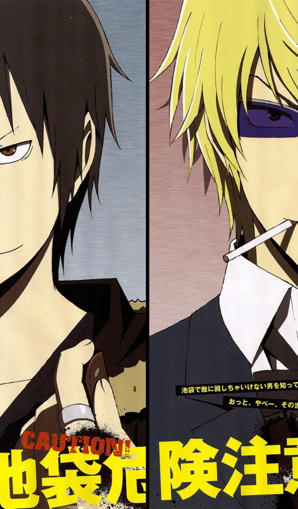 Книга аниме Дюрарара!!