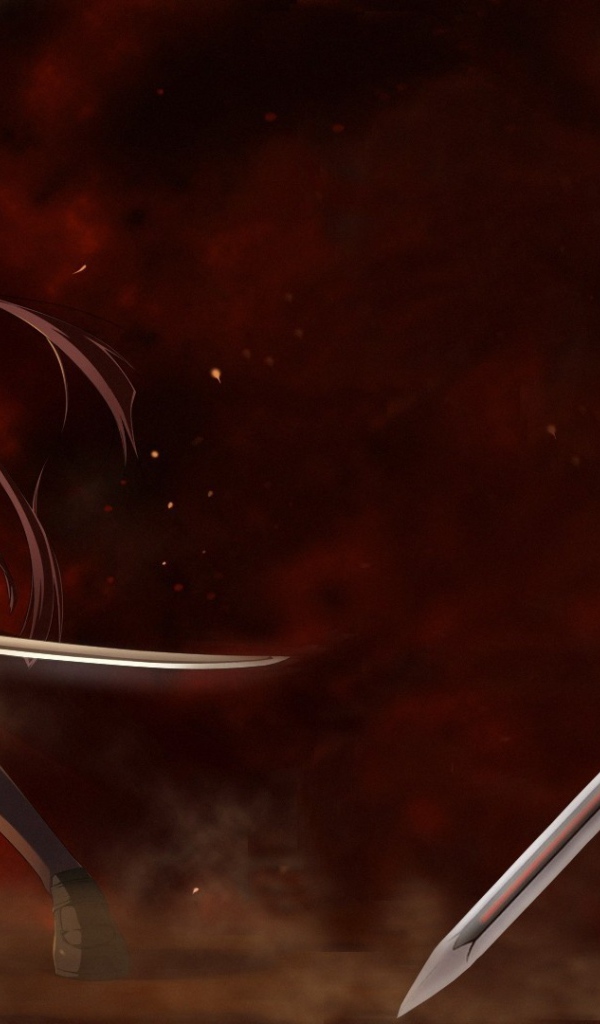 Холодное оружие в аниме Ночь прибытия