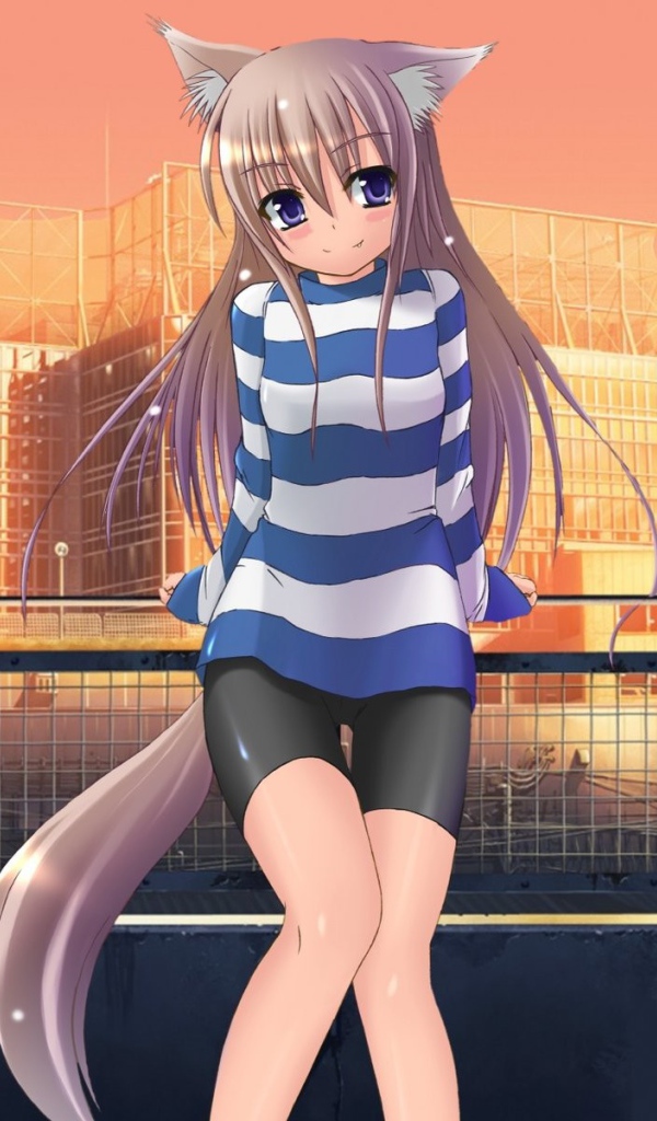 Девочка кошка на фоне зданий, аниме