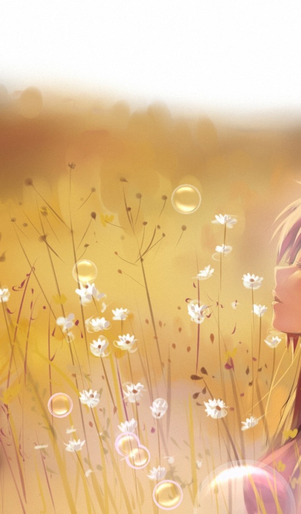 Девочка в поле, аниме Touhou Project