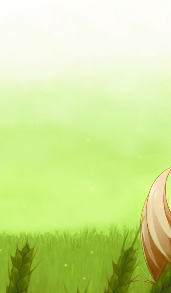 Девушка в зеленом платье из аниме Волчица и пряности