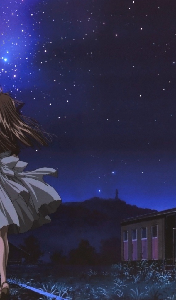 Девочки смотрят на звезды, аниме