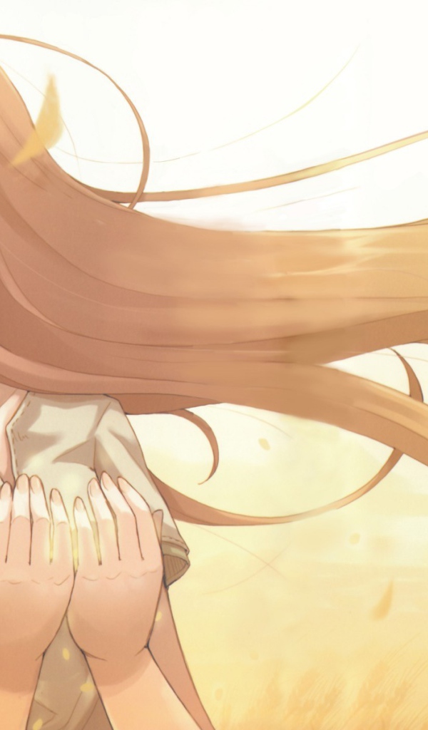 Холо из аниме Волчица и пряности