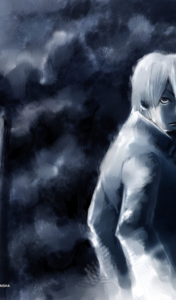 Японское аниме Мастер Муси