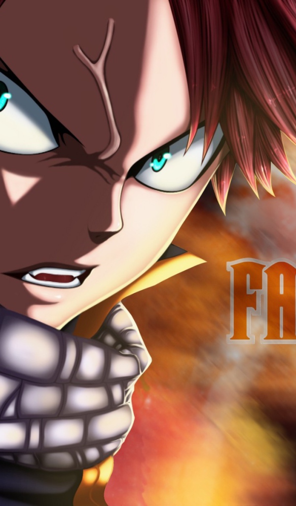 Манга аниме Сказка о хвосте феи