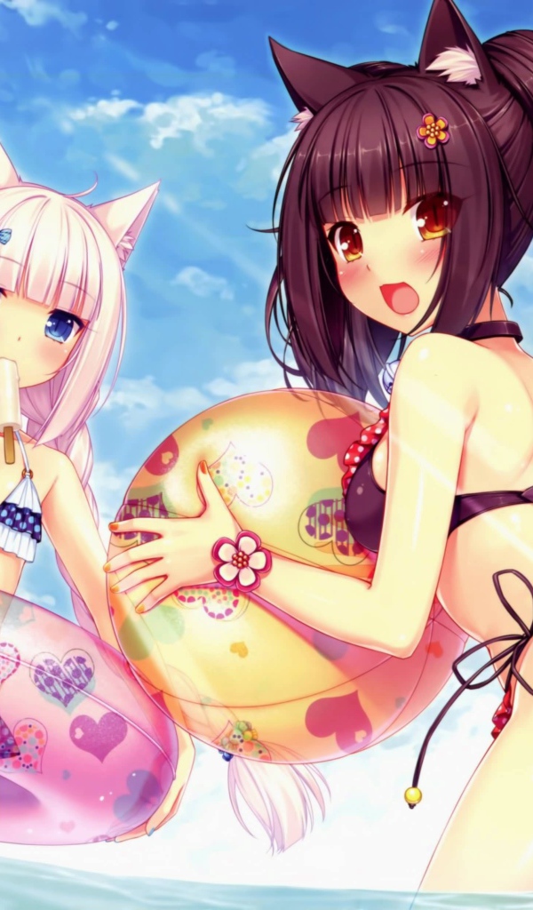 Отдых на пляже, аниме Neko Para