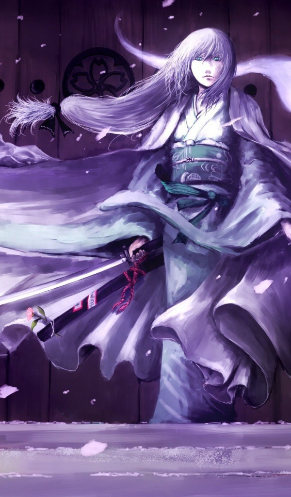 Девушка самурай, аниме