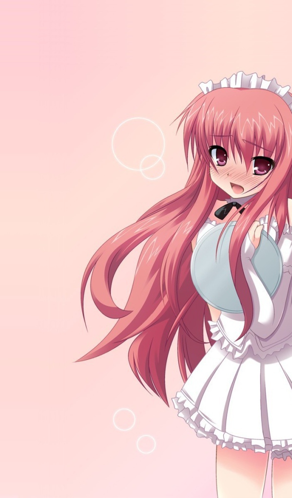 Девушка из аниме Подручный Луизы-Нулизы