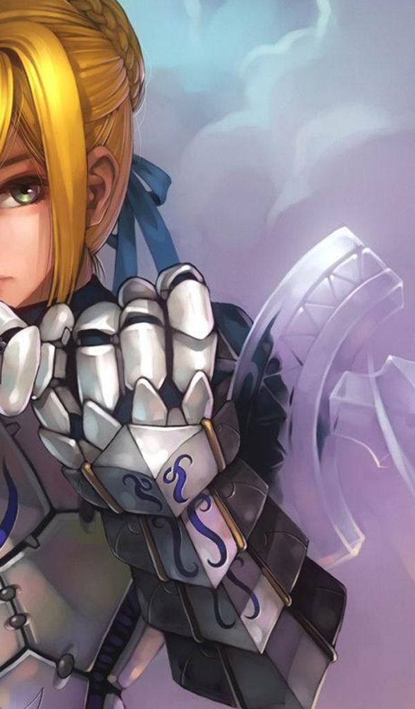 Девушка в доспехах, аниме Ночь прибытия