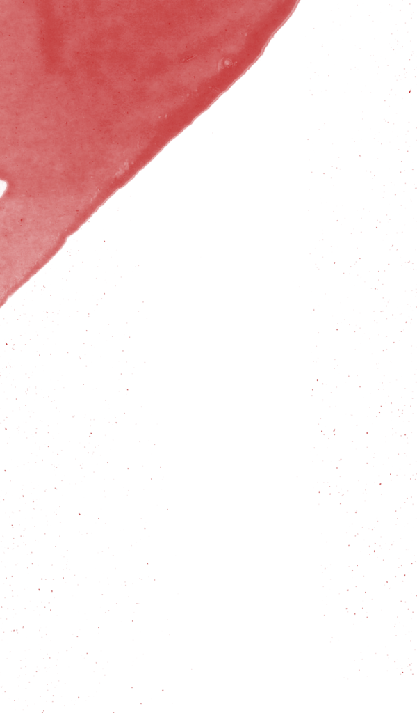 Девушка Мирая Никки с ножом, аниме