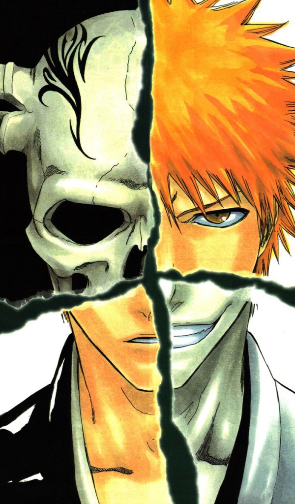 Многогранный герой аниме Куросаки Ичиго