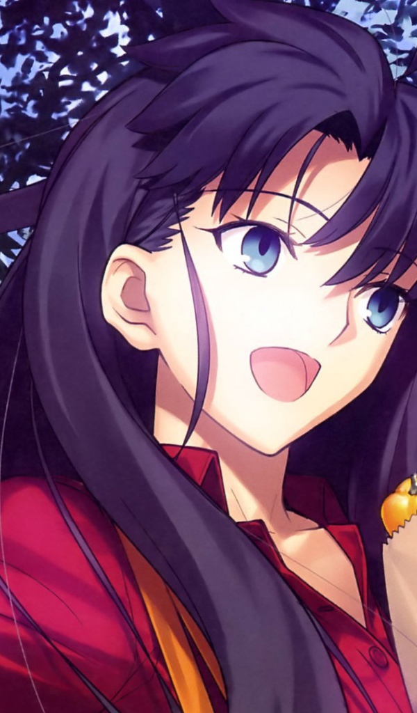 Тосака Рин, аниме Ночь прибытия