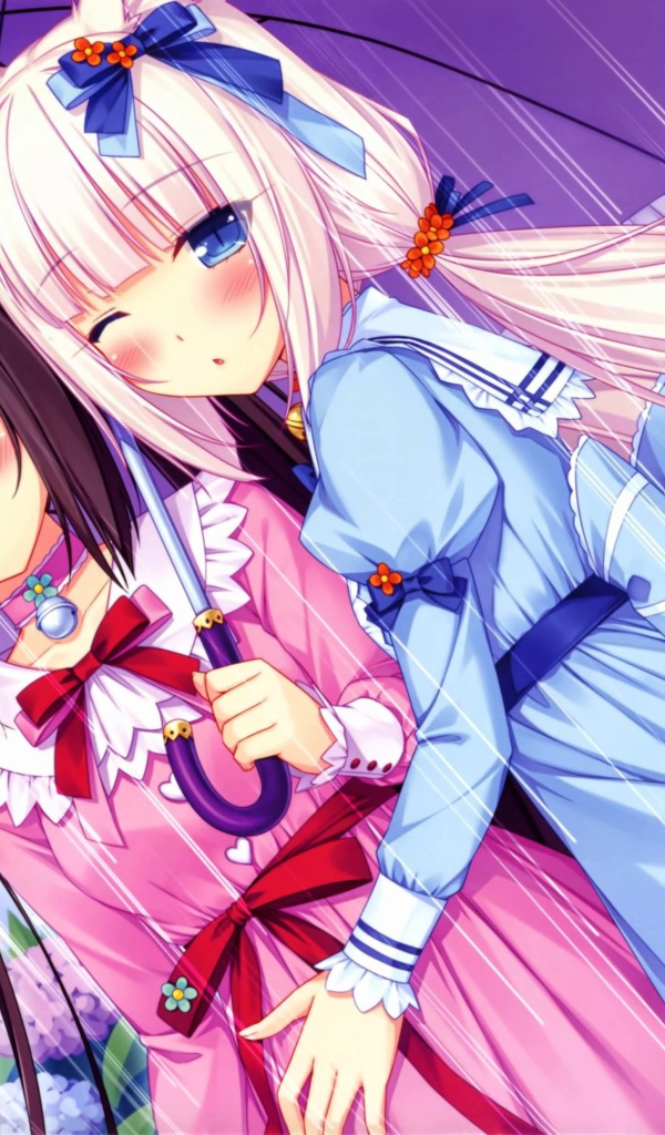Две подружки под зонтом, аниме Neko Para