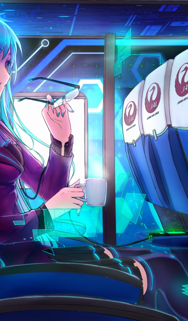 Вокалоид в салоне самолета, аниме Hatsune Miku